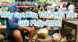 Máy Gọt Dừa Tươi Siêu Tốc: Giải Pháp 2026 Máy Gọt Dừa Tươi Siêu Tốc: Giải Pháp 2026
