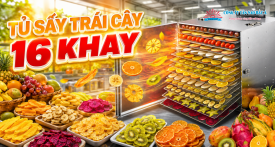 TỦ SẤY TRÁI CÂY 16 KHAY