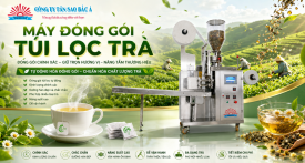 Máy Đóng Gói Túi Lọc Trà Tự Động 2026