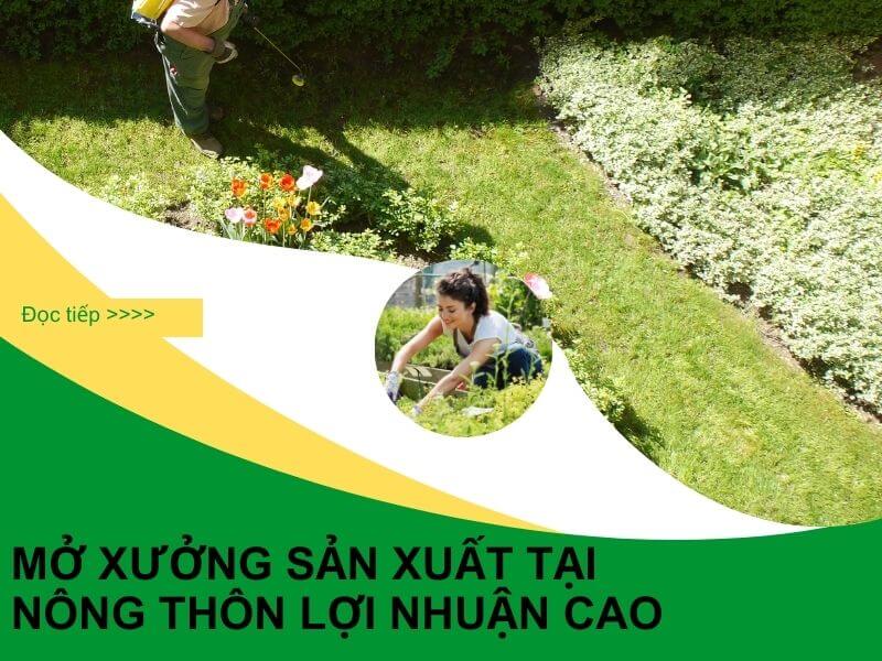 Mô hình sản xuất có lợi nhuận cao ở nông thôn  (1)