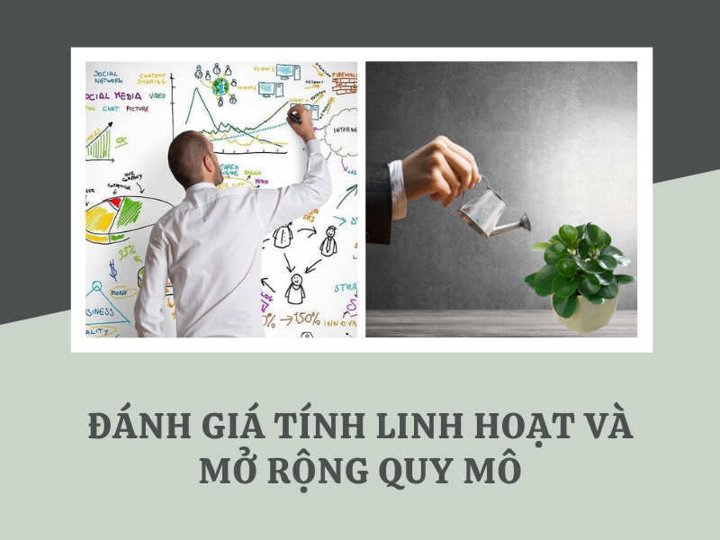 đánh giá tính linh hoạt và mở rộng quy mô