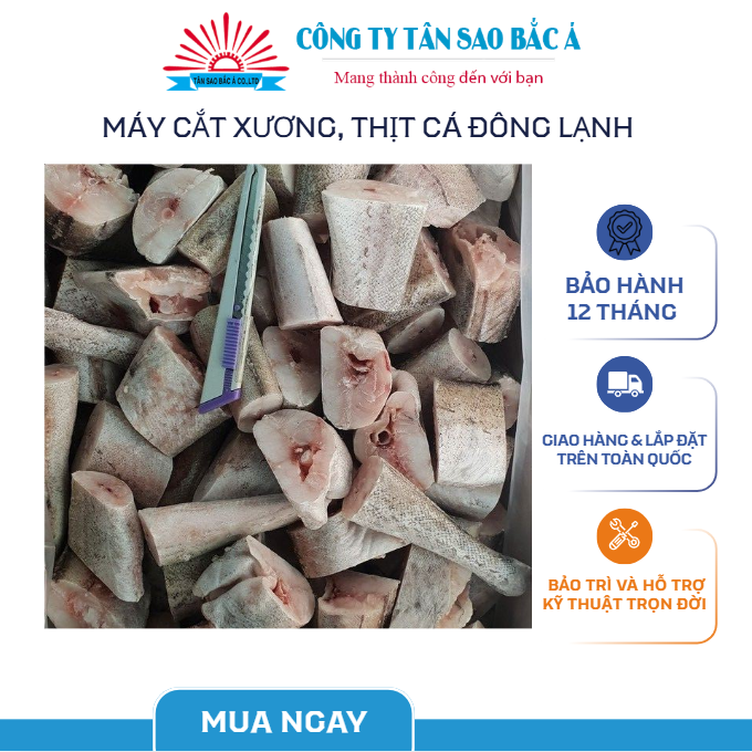máy cắt thịt cá đông lạnh tasaba