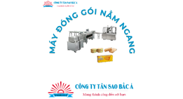 Máy đóng gói nằm ngang