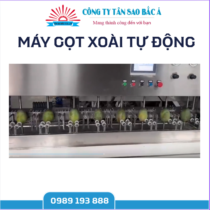 máy gọt xoài tự động