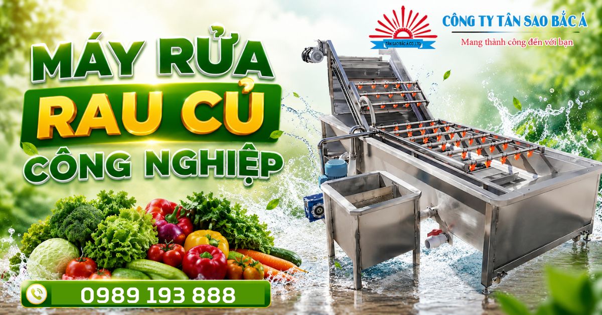 Máy rửa rau củ băng tải công nghiệp 